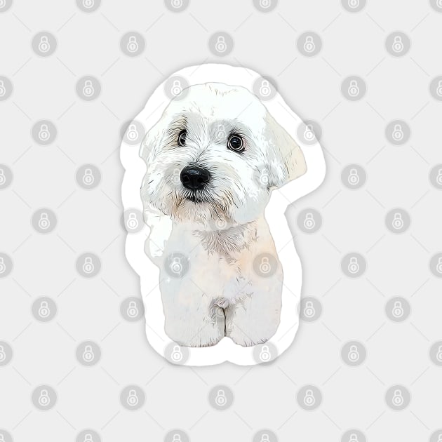 Coton de tulear dog teddy Sticker by ElegantCat